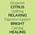 Plant Therapy - Bergamot Essential Oil 30ml