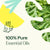 Plant Therapy- Deodorizing Essential Oil Blend 10ml