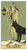 Tarot - After Tarot