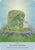 Oracle cards- Unlock the Wisdom of the Ancient Stones
