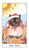 Tarot - Cat Tarot by by Megan Lynn Kott