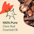 Plant Therapy- Clove Bud 10ml