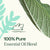 Plant Therapy- Sage Dalmatian Essential Oil 10ml