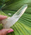 Lemurian Laser Point AA Quality 46g