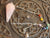 Pendulum- 7 Chakra Rose Quartz