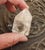 Clear Quartz Point 40gm