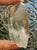 Lemurian Smoky 137g