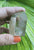 Lemurian Smoky 73gm * with pretty rainbows RARE