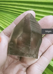 Lemurian Smoky 66g