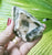 Zebra Calcite raw 7x5x3.5cm   233gm