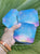 Geometry Coasters