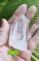 Lemurian point 78g