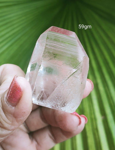 Lemurian 59g