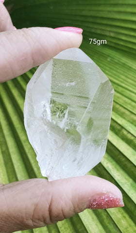 Lemurian 75g