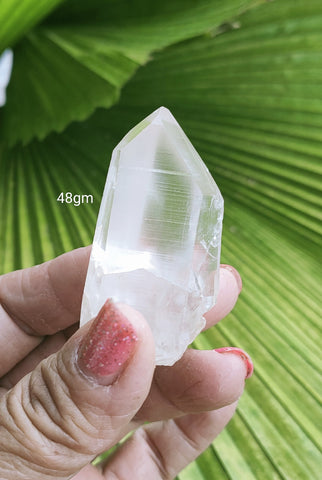 Lemurian 48gm