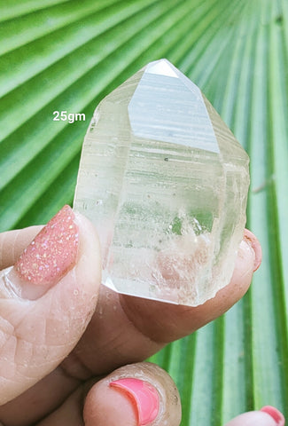 Lemurian 25gm based cut