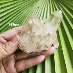 Cluster- Himalayan Quartz 145g