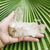 Cluster- Himalayan Quartz 295g