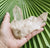Cluster- Himalayan Quartz 295g