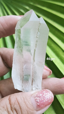 Lemurian 46gm * Self Heal