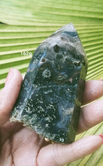 Jasper Forest 162g