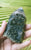 Jasper Forest 162g