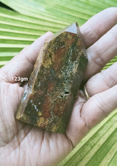 Jasper Rainforest 123g