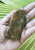 Jasper Rainforest 123g