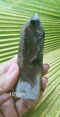 Jasper Rainforest 101gm