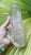 Cluster- Himalayan Quartz 674gm