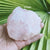 Rose Quartz raw 372g