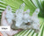 Cluster- Himalayan Quartz 538gm