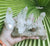 Cluster- Himalayan Quartz 538gm