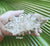 Cluster- Himalayan Quartz 255g