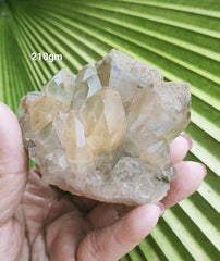 Natural Golden Rutilated Clusters 210g