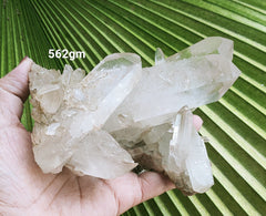Cluster- Himalayan Quartz 562gm