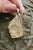 Libyan Gold Tektite Pendant 14g