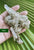 Cluster- Himalayan Quartz 88g