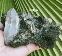 Cluster- Himalayan Quartz 393g