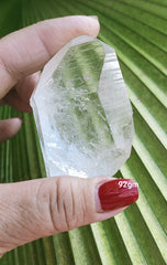 Lemurian Point 92g