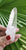Lemurian Point 88gm