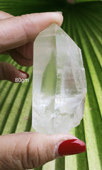 Lemurian 80g