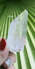 Lemurian 45g