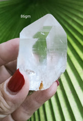 Lemurian 86g