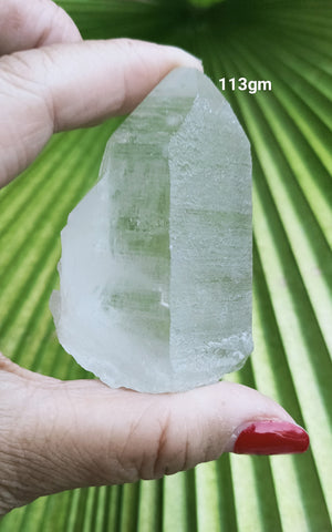 Lemurian 113g