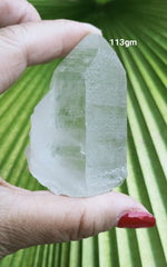 Lemurian 113g