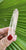 Lemurian Point 38g