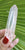 Lemurian Point 38g