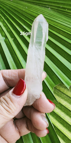 Lemurian Point 26g