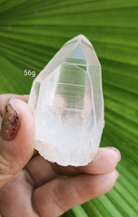 Lemurian 56g